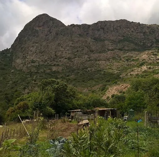 Homestay Pastriccialone Afa