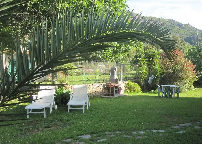 Pastriccialone * Afa